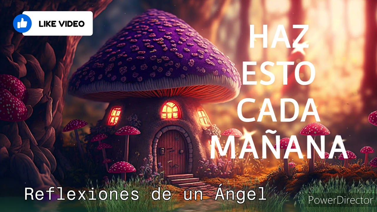 🍀COMIENZA TU DÍA CON AFIRMACIONES POSITIVAS ✨#afirmaciones #decretospositivos #decretodeldia