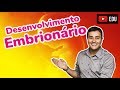 Desenvolvimento Embrionário - Embriologia - Prof. Paulo Jubilut