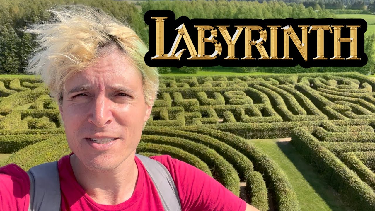 Самый большой грабовый лабиринт в мире? Я в шоке!