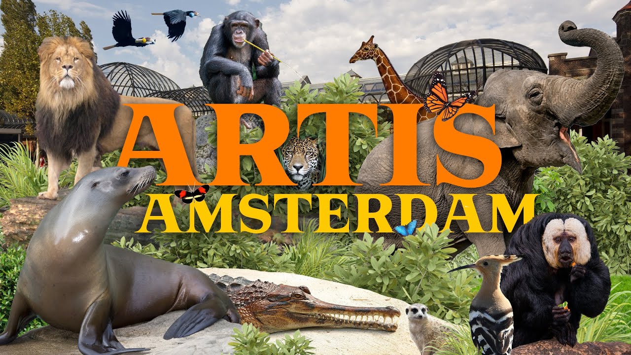 ARTIS Amsterdam - a must-see capital zoo? | Zoo Review