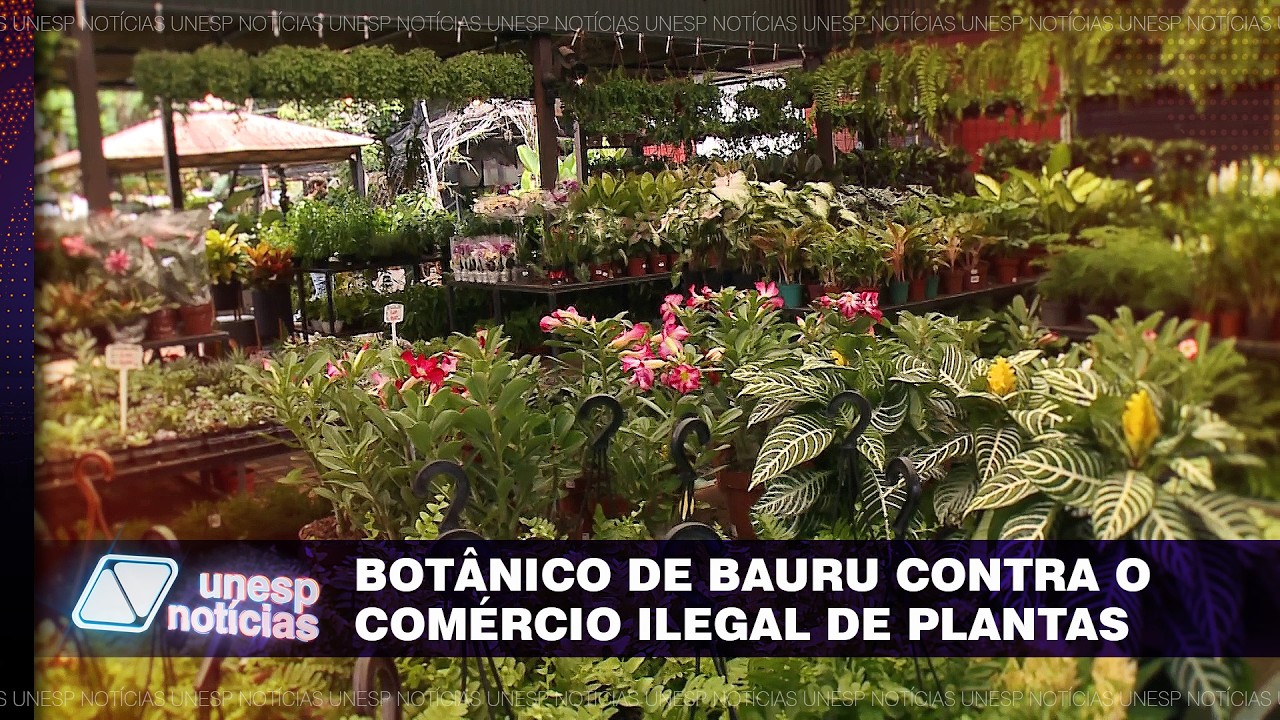Jardim Botânico de Bauru integra rede internacional de combate ao comércio ilegal de plantas