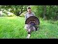 I KILLED MY FIRST TURKEY!!! - Spring Turkey Hunting in Nebraska 2017