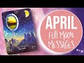 🌕 April Full Moon Messages! 💗💫 Let’s Get Woowoo! #tarotreading #pinkmoon #fullmoon