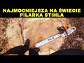 Ogromna topola i najmocniejsza seryjna pilarka stihl ms881  obalanie pnia i co sdz o ms881