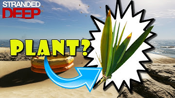 Can You Plant Fibrous Leaves in Stranded Deep?