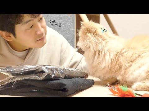 같이 산 지 벌써 3년째인데... 너무나 어색한 둘..