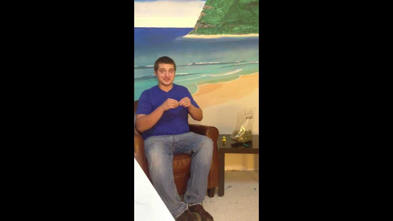 Granddaddy Purple Strain Review - 1st Choice Cannabis OMMP