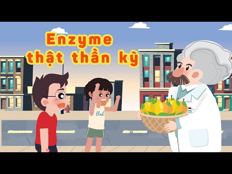 Nhà khoa học tí hon | Enzyme thật thần kì