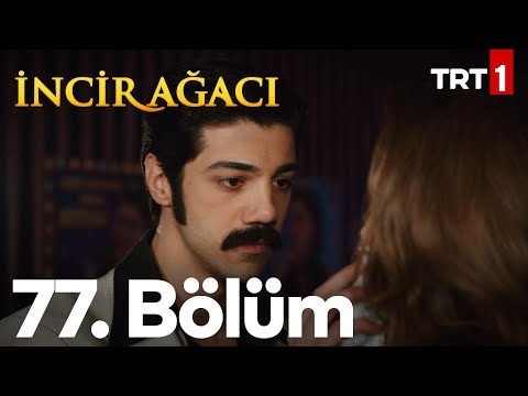 İncir Ağacı 77. Bölüm