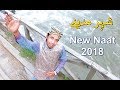 Tur Jawan Gy Shehar Madine - Adeel Faridi's Best Punjabi Naat 2018