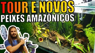 TOUR NA LOJA MUNDO DOS DISCOS + COMPREI MAIS PEIXES PRO AQUÁRIO AMAZÔNICO |Mr. Betta|