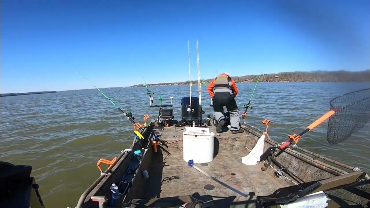 Another Double C Catfish Blooper YouTube