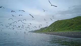 2022.07 Sakhalin Kunashir Shikotan