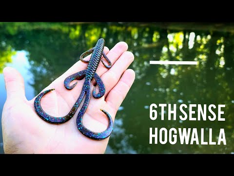 Spring Bass Fishing with the 6th Sense Hogwalla!!