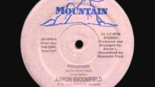 Aaron Broomfield - Polyphase
