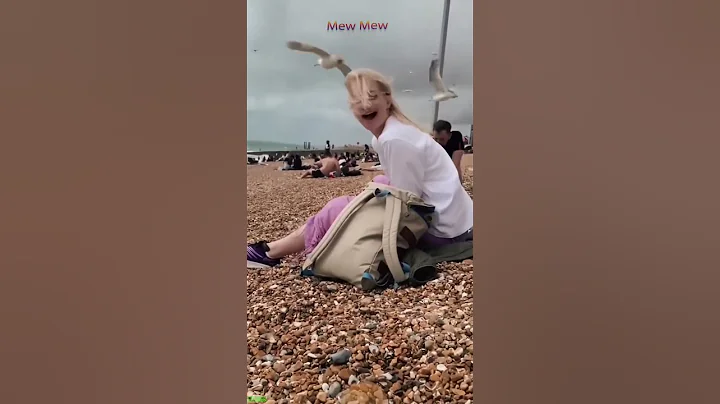 Watch the video about Cat Lover 😻 cats meowing 🐱 #mewmew Ep 7616