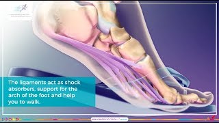 Treating your injuries: Plantar Fasciitis | برامج العلاج المقدمة: التهاب اللفافة الأخمصية