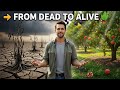How Trees Grow in Dry Soil 🍑 Secret of Nature’s Survival (Full Gardening Guide)