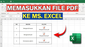 Cara Memasukkan File PDF ke Excel