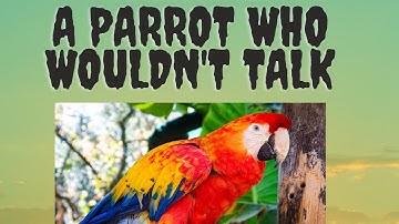Class 4 | The Parrot who wouldn
