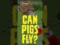 Can pigs fly  minecraft shorts