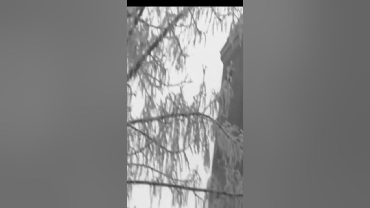 Жара и морозы в Караганде, 1969 год #shorts #караганда #шахты #уголь # ...