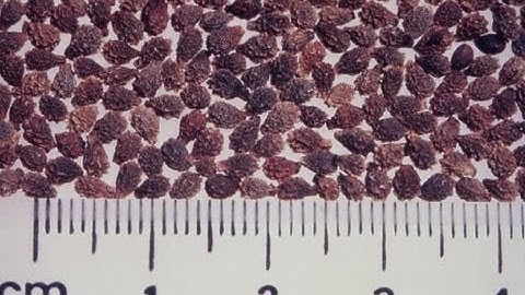 Introduction to the Augmented Experimental Design Part 4 of 8