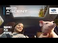 Ascent 2023 de Subaru – Découvrez de l’espace pour toute la famille en format Ascent | Publicité