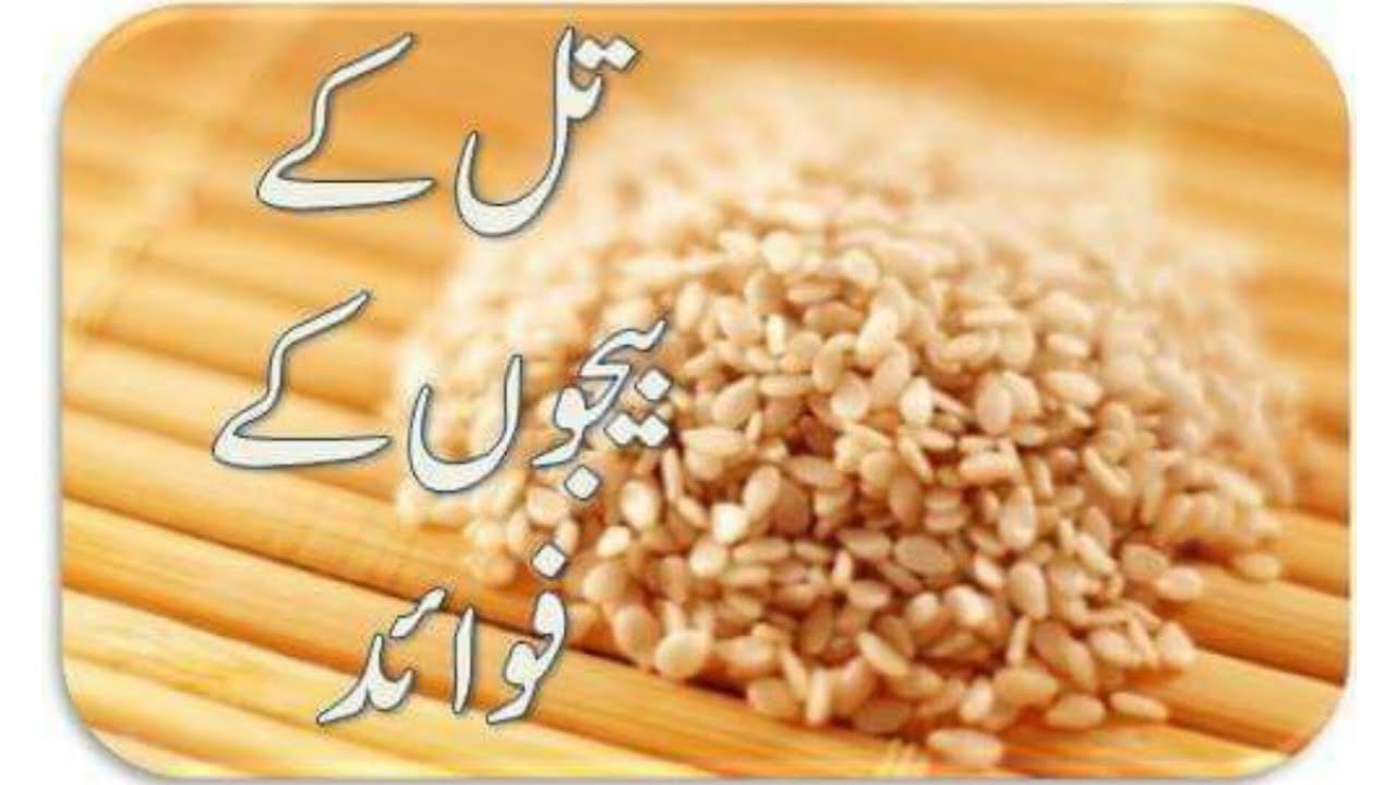 til ke fayde sesame seeds benefits til ke faydy by Hakeem Daud naeemi