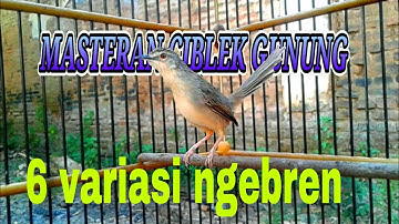 6 VARIASI CIBLEK GUNUNG NGEBREN COCOK BUAT MASTERAN