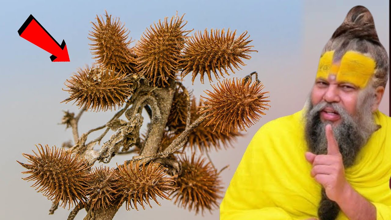 लाखों की दवाइयाँ भी फेल है मिल जाए तो छोड़ना मत // पैसा ही पैसा आएगा.#धन_प्राप्ति_उपाय