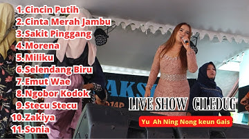 Live Show Sesi Malam Ciledug Padaherang Pangandaran