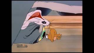Tom And Jerry, 7 Episode The Bowling Alley Cat 1942 Adda Channel Kids