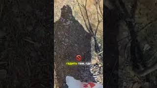 TG: nexpertGM Разве так можно??? #shorts #независимыйэксперт #георгиймедведев