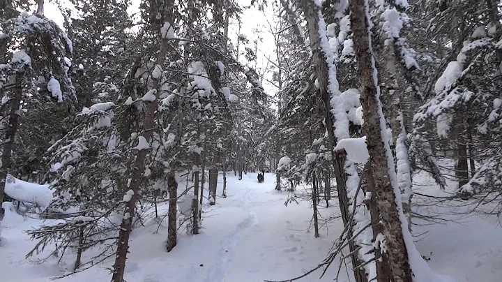 SKIHOKSB1
