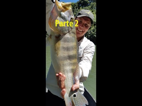 Pesca de Azulão