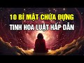 10 b mt cha ng tt c tinh hoa ca lut hp dn  cch n gin bin c m thnh hin thc