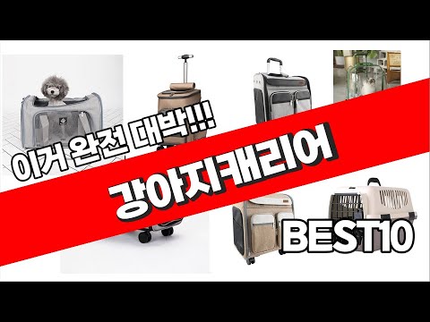 강아지캐리어 추천 2023년 가성비 최고 간단하게 정리 추천순위 TOP10