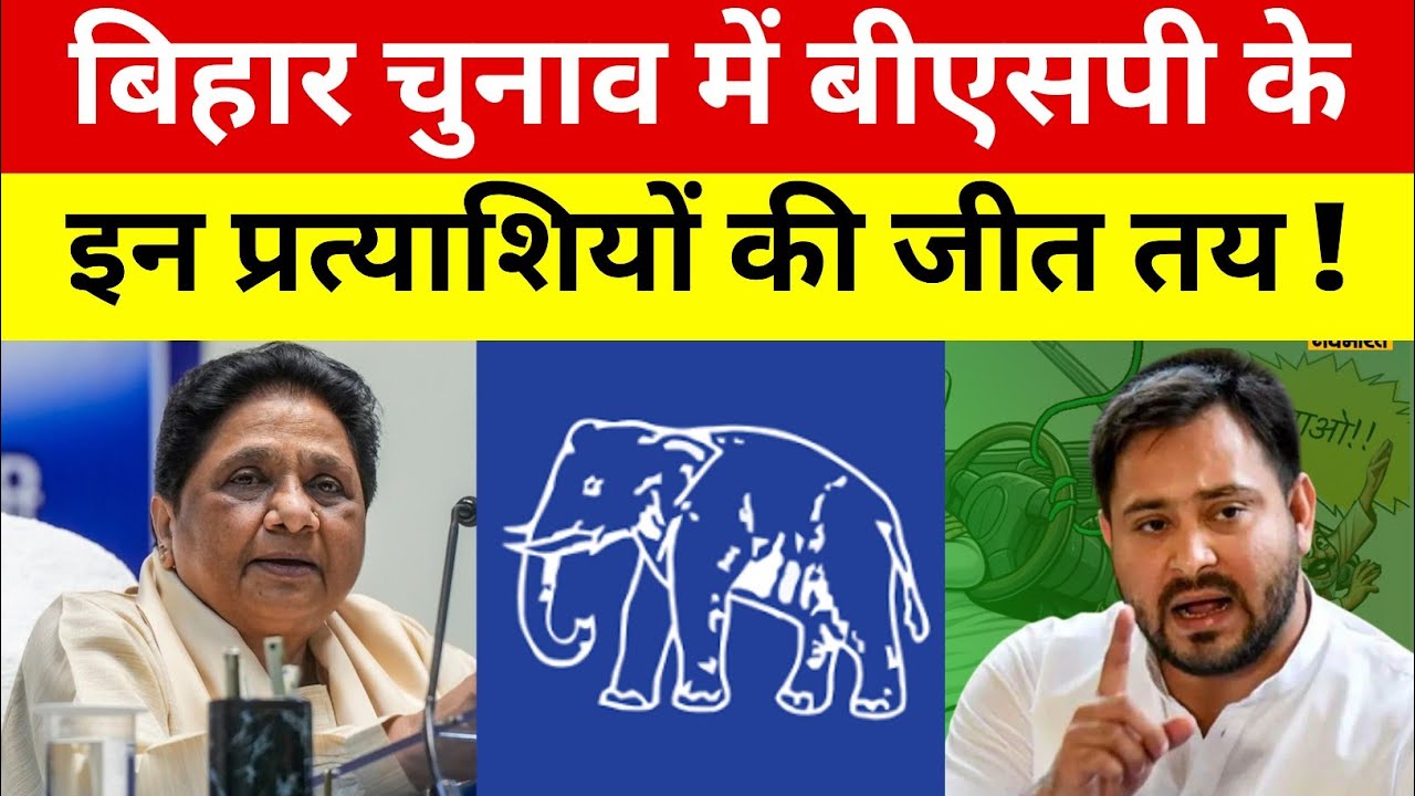 बिहार विधानसभा चुनाव में BSP के इन प्रत्याशियों की जीत तय ! मायावती Vs तेजस्वी यादव