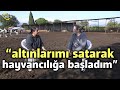 "Altınlarımı Satarak Hayvancılığa Başladım" - Bir Hayvancılık Hikayesi