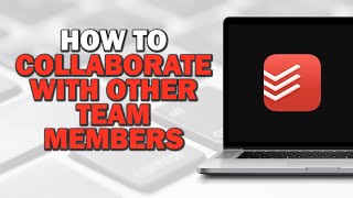 How To Collaborate With Other Team Members In Todoist (Quick Tutorial)