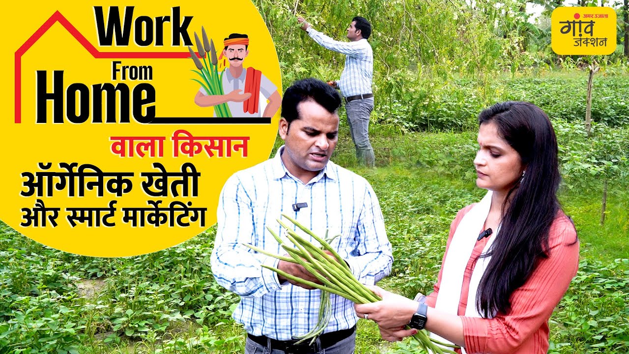 लीज पर खेती और गांव में मार्केटिंग: IT इंजिनियर ने गांव में रहकर बनाया अपना ब्रांड, जानिए कैसे