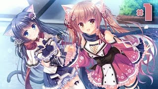 NINJA NEKO GIRLS Don't Question Just Love it! - NEKO-NIN