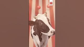 Beli Semua Pakai Shopee COD Bisa Gratis Ongkir Se-Indonesia