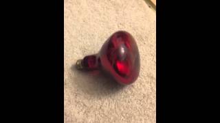 Rubylux Near Infrared red light therapy bulb