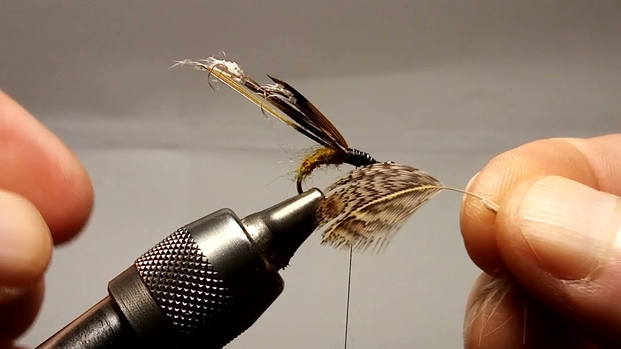 Caddis pup, nymphe de trichoptère