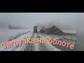 На болото за торфом.  #Большегруз22колеса#щеповоз#дальнобой