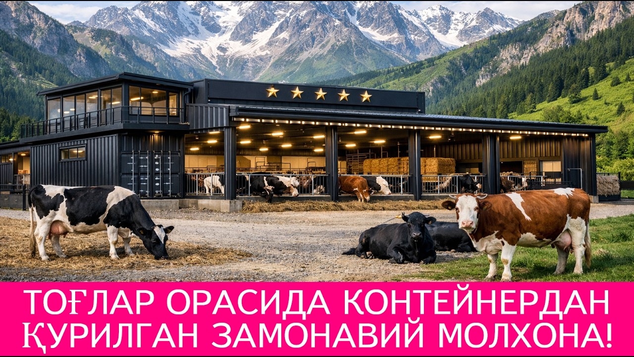 ТОҒЛАР ОРАСИДА КОНТЕЙНЕРДАН ҚУРИЛГАН ЗАМОНАВИЙ МОЛХОНА! KONTEYNERDAN QURILGAN ZAMONAVIY MOLXONA!