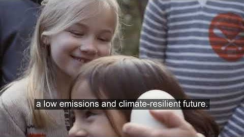 Fossil fuel subsidy reform