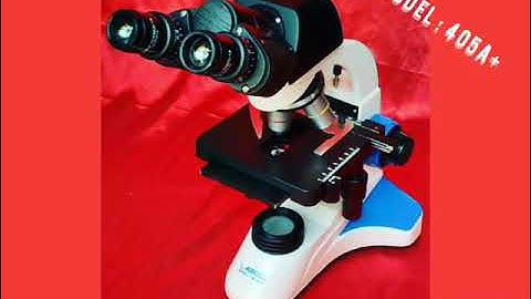 Laboid Binocular Microscope / coaxial Binocular microscope / Research microscope